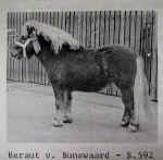 herautvanbunswaard.jpg (37635 bytes)